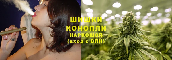 шишки Бронницы