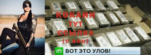 MESCALINE Бородино