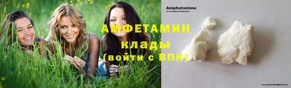 шишки Бронницы