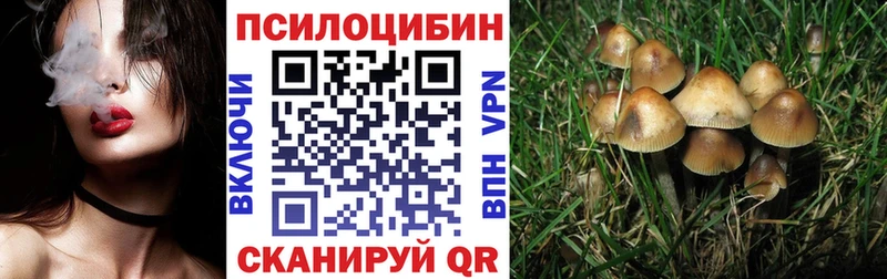 Псилоцибиновые грибы Psilocybe  закладки  Гаврилов Посад 